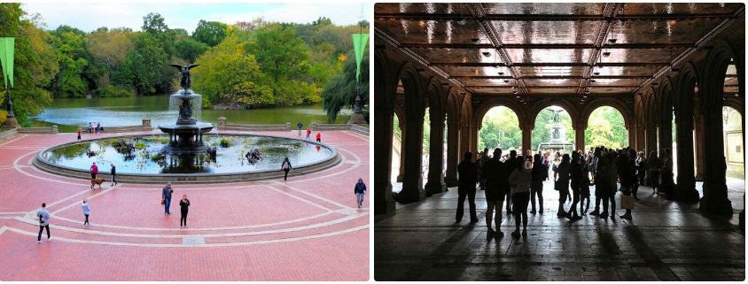 New York's Central Park5