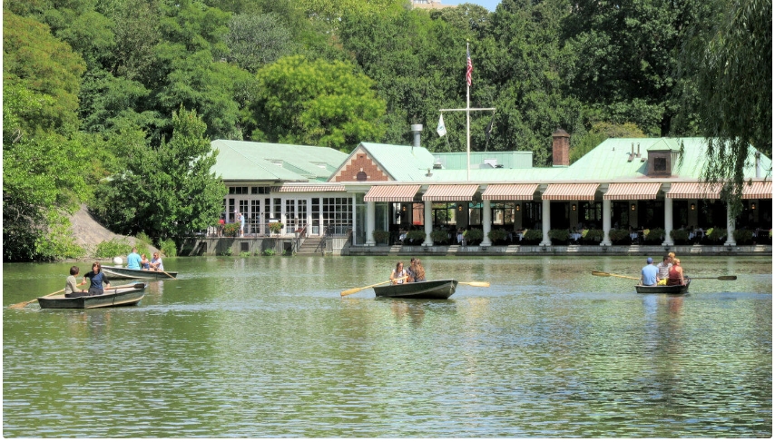 New York's Central Park6